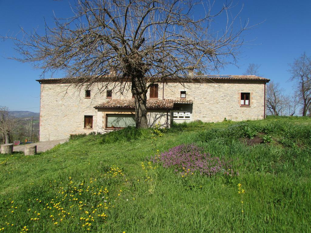 Il Gelso Room&Breakfast Pennabilli Exterior foto